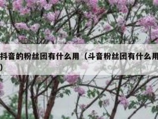 抖音的粉丝团有什么用（斗音粉丝团有什么用）