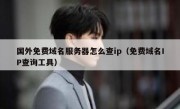 国外免费域名服务器怎么查ip（免费域名IP查询工具）