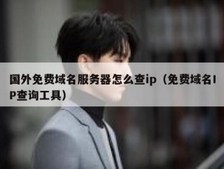 国外免费域名服务器怎么查ip（免费域名IP查询工具）