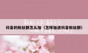 抖音的粉丝群怎么加（怎样加进抖音粉丝群）