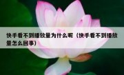 快手看不到播放量为什么呢（快手看不到播放量怎么回事）