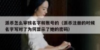 派币怎么审核名字和账号的（派币注册的时候名字写对了为何显示了她的密码）