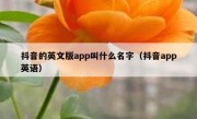 抖音的英文版app叫什么名字（抖音app英语）