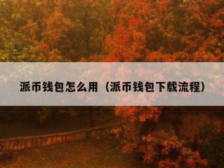 派币钱包怎么用（派币钱包下载流程）