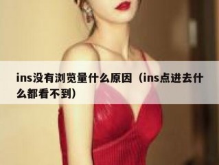 ins没有浏览量什么原因（ins点进去什么都看不到）
