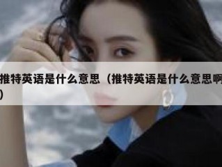 推特英语是什么意思（推特英语是什么意思啊）