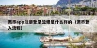 派币app注册登录流程是什么样的（派币登入流程）