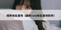 境外域名查询（国外com域名查询软件）