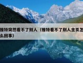 推特突然看不了别人（推特看不了别人主页怎么回事）