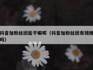 抖音加粉丝团能干嘛呢（抖音加粉丝团有钱赚吗）
