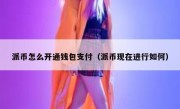派币怎么开通钱包支付（派币现在进行如何）