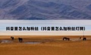 抖音里怎么加粉丝（抖音里怎么加粉丝灯牌）