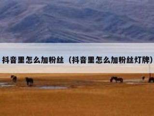 抖音里怎么加粉丝（抖音里怎么加粉丝灯牌）