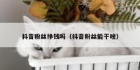抖音粉丝挣钱吗（抖音粉丝能干啥）