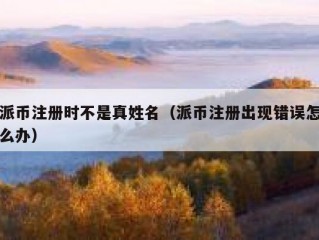 派币注册时不是真姓名（派币注册出现错误怎么办）