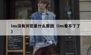 ins没有浏览量什么原因（ins看不了了）