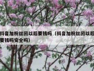 抖音加粉丝团以后要钱吗（抖音加粉丝团以后要钱吗安全吗）