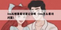 ins从哪里看访客记录呢（ins怎么看访问量）