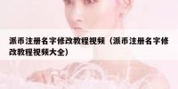 派币注册名字修改教程视频（派币注册名字修改教程视频大全）