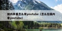 国内苹果怎么用youtube（怎么在国内看youtube）