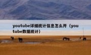 youtube详细统计信息怎么开（youtube数据统计）