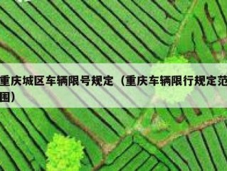 重庆城区车辆限号规定（重庆车辆限行规定范围）