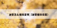 油管怎么播放音频（油管播放设置）
