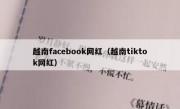 越南facebook网红（越南tiktok网红）
