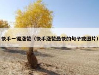 快手一键涨赞（快手涨赞最快的句子或图片）