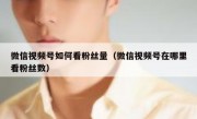 微信视频号如何看粉丝量（微信视频号在哪里看粉丝数）