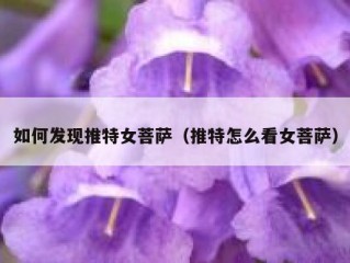 如何发现推特女菩萨（推特怎么看女菩萨）