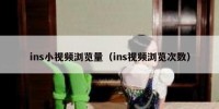 ins小视频浏览量（ins视频浏览次数）
