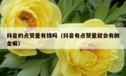 抖音的点赞量有钱吗（抖音有点赞量就会有酬金嘛）