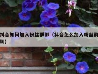 抖音如何加入粉丝群聊（抖音怎么加入粉丝群聊）