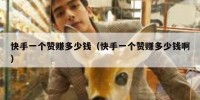 快手一个赞赚多少钱（快手一个赞赚多少钱啊）