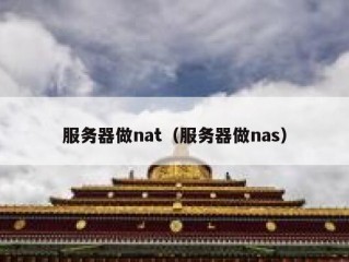 服务器做nat（服务器做nas）