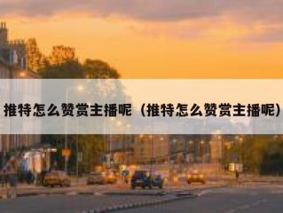 推特怎么赞赏主播呢（推特怎么赞赏主播呢）