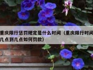 重庆限行惩罚规定是什么时间（重庆限行时间几点到几点如何罚款）