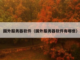 国外服务器软件（国外服务器软件有哪些）