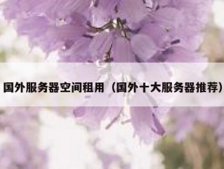 国外服务器空间租用（国外十大服务器推荐）