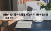 推特的推广是什么意思呀怎么弄（推特怎么推广效果好）