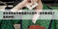 派币审核名字教程是什么软件（派币要成功了是真的吗）