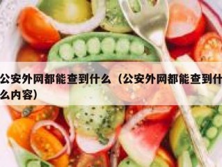 公安外网都能查到什么（公安外网都能查到什么内容）