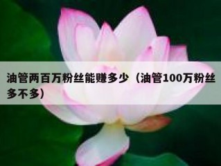 油管两百万粉丝能赚多少（油管100万粉丝多不多）