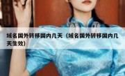 域名国外转移国内几天（域名国外转移国内几天生效）