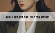 国外上网流量多少钱（国外流量要钱吗）