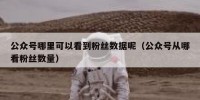 公众号哪里可以看到粉丝数据呢（公众号从哪看粉丝数量）