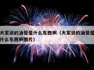 大家说的油管是什么东西啊（大家说的油管是什么东西啊图片）