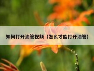 如何打开油管视频（怎么才能打开油管）