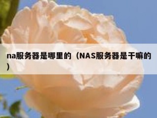 na服务器是哪里的（NAS服务器是干嘛的）